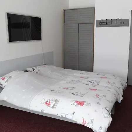 Guest house Statek Polanka *