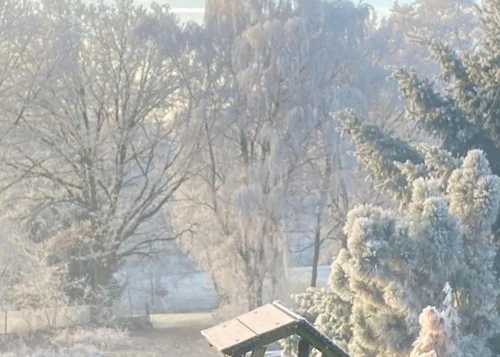 Statek Polanka